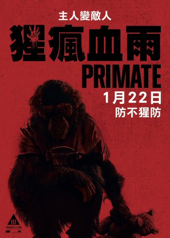 Primate